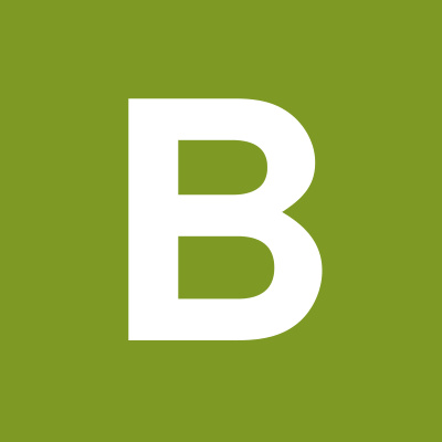 B-LIGHT